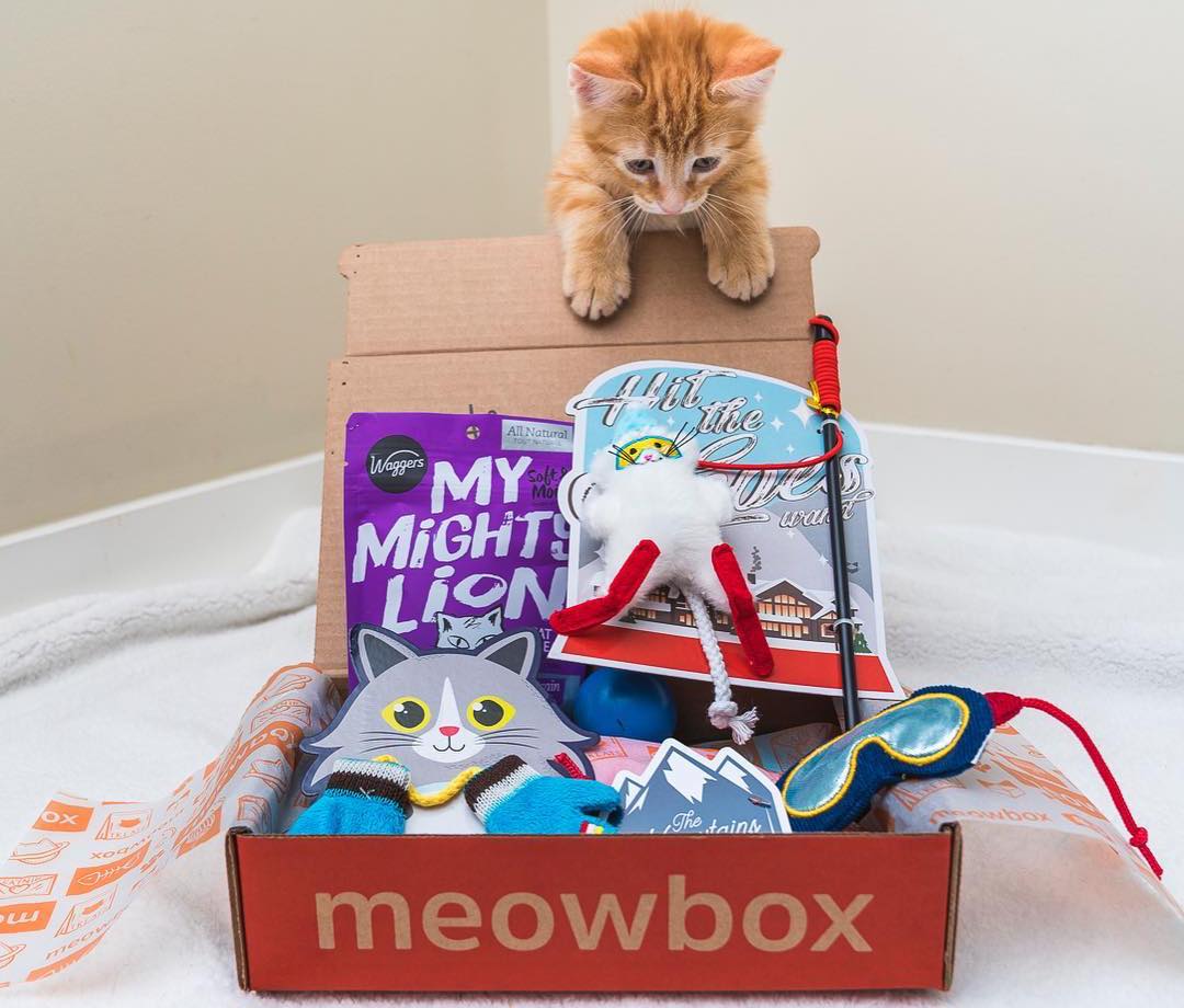 Top Monthly Subscription Boxes That Ship Internationally US Global Mail